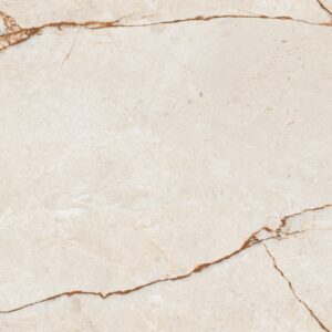 MARBLE DELICATO POLISHED 60 X 120