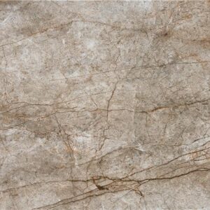 RAIN FOREST DAYTON POLISHED 60 X 120